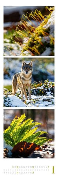 Produktbild: Nature Triplet-Kalender 2027