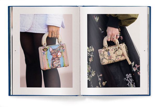 Produktbild: Dior Bags: Der ultimative Guide