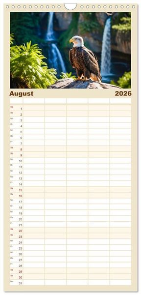 Produktbild: Familienplaner 2026 - Majest&auml;tische Wei&szlig;kopfseeadler - Der K&ouml;nig der L&uuml;fte mit 5 Spalten (Wandkalender, 21 x 45 cm) CALVENDO