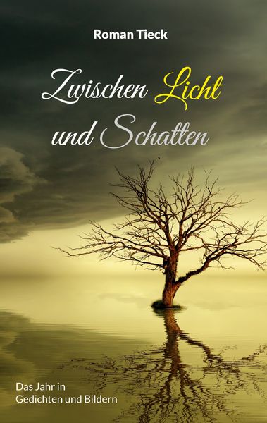 Produktbild: Zwischen Licht und Schatten