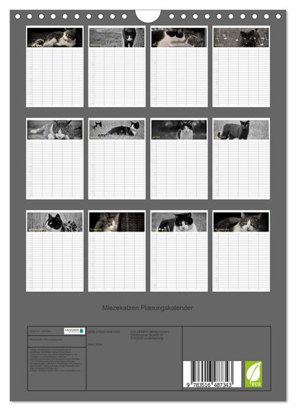 Produktbild: Miezekatzen Planungskalender (Wandkalender 2026 DIN A4 hoch), CALVENDO Monatskalender
