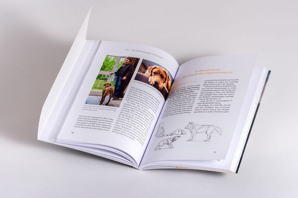 Produktbild: Nähe und Distanz in der Hundeerziehung