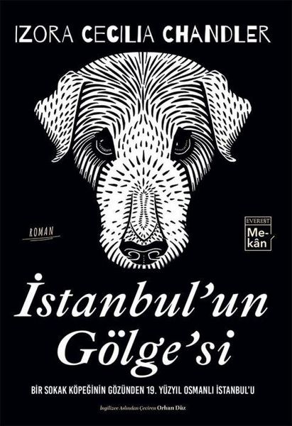 Produktbild: Istanbulun G&ouml;lgesi