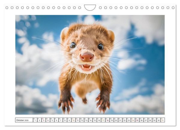 Produktbild: Kleine freche Nerze (Wandkalender 2026 DIN A4 quer), CALVENDO Monatskalender