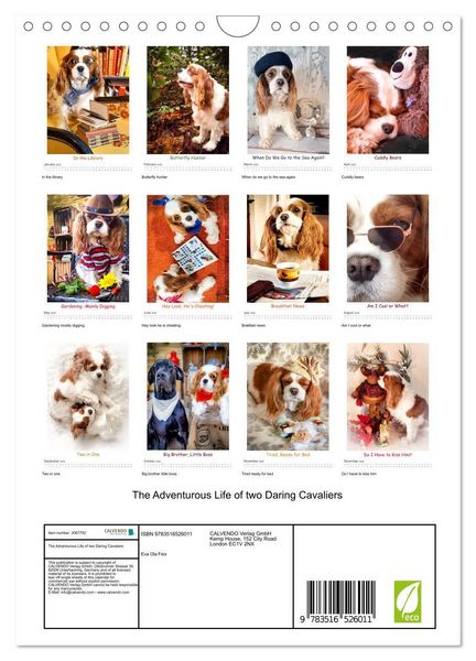 Produktbild: The Adventurous Life of two Daring Cavaliers (Wall Calendar 2026 DIN A4 portrait), CALVENDO 12 Month Wall Calendar