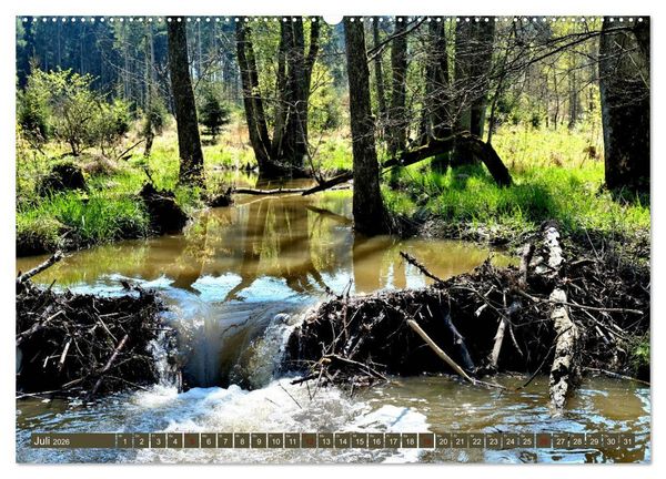 Produktbild: Wiesen W&auml;lder Weiher. Der Naturpark Augsburg-Westliche W&auml;lder (hochwertiger Premium Wandkalender 2026 DIN A2 quer), Kunstdruck in Hochglanz