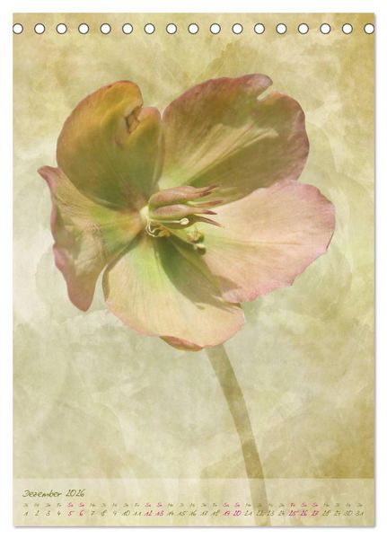 Produktbild: Vintage Flowers (Tischkalender 2026 DIN A5 hoch), CALVENDO Monatskalender