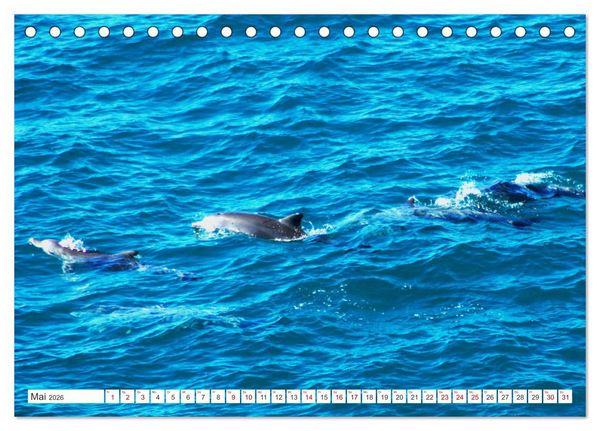 Produktbild: K&uuml;stenparadies - Noosa Nationalpark Australien (Tischkalender 2026 DIN A5 quer), CALVENDO Monatskalender