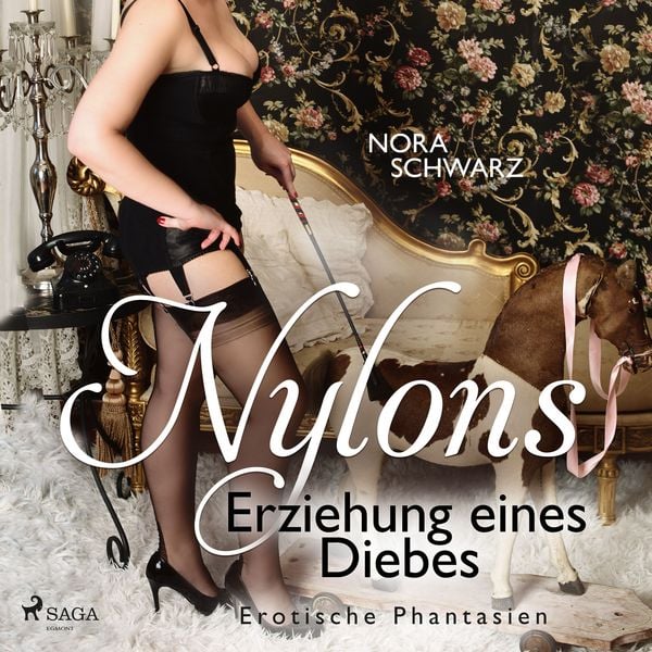 Produktbild: Nylons: Erziehung eines Diebes - Erotische Phantasien
