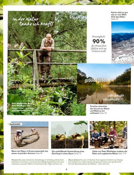 Produktbild: Wohllebens Welt / Wohllebens Welt 1/2019 - Ein neuer Blick auf die Natur