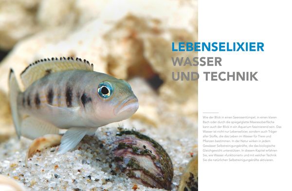 Praxishandbuch Aquarium