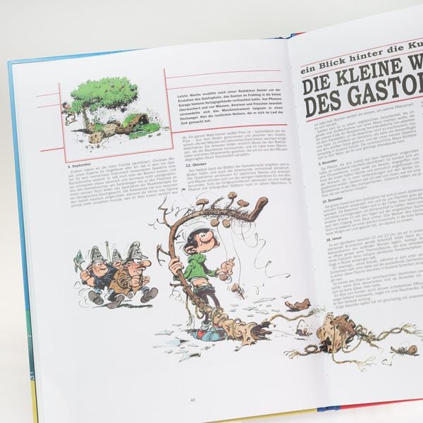 Produktbild: Gaston Neuedition 11: Tollpatsch Total