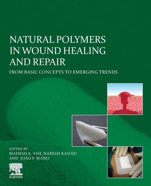 Produktbild: Natural Polymers in Wound Healing and Repair