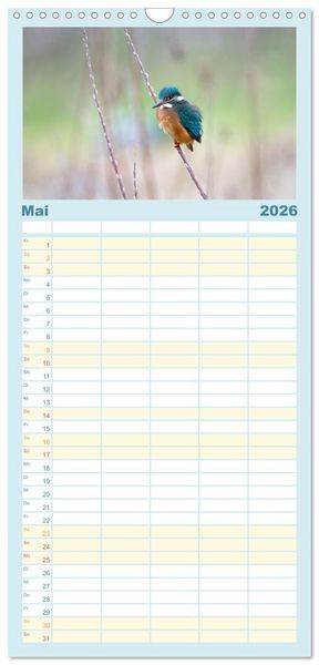 Produktbild: Familienplaner 2026 - Eisvogel im Portr&auml;t mit 5 Spalten (Wandkalender, 21 x 45 cm) CALVENDO