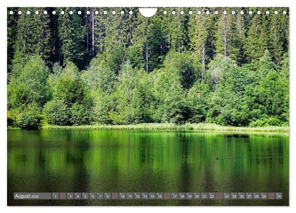 Produktbild: Schwarzwald-Wanderungen (Wandkalender 2026 DIN A4 quer), CALVENDO Monatskalender