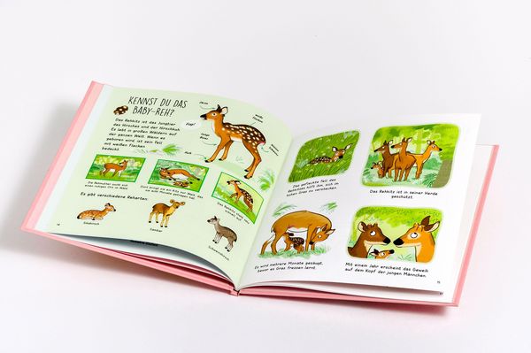 Produktbild: Kennst du die Tierkinder? - Sachbilderbuch f&uuml;r Kinder ab 3 Jahren