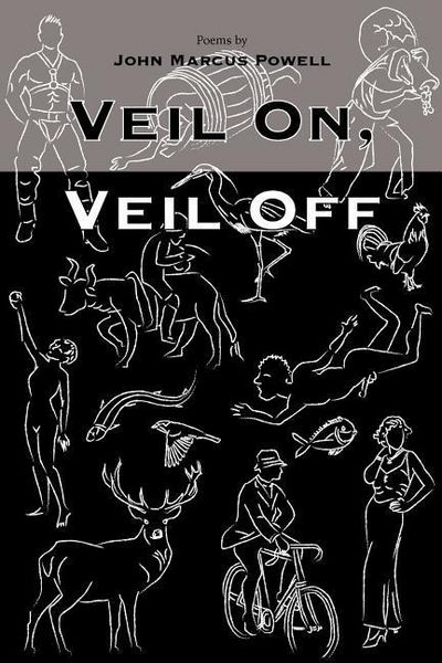 Produktbild: Veil On, Veil Off