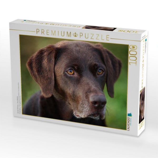 Produktbild: CALVENDO Puzzle Labrador Retriever - Treue Begleiter | 1000 Teile Lege-Gr&ouml;&szlig;e 64x48cm Foto-Puzzle f&uuml;r gl&uuml;ckliche Stunden