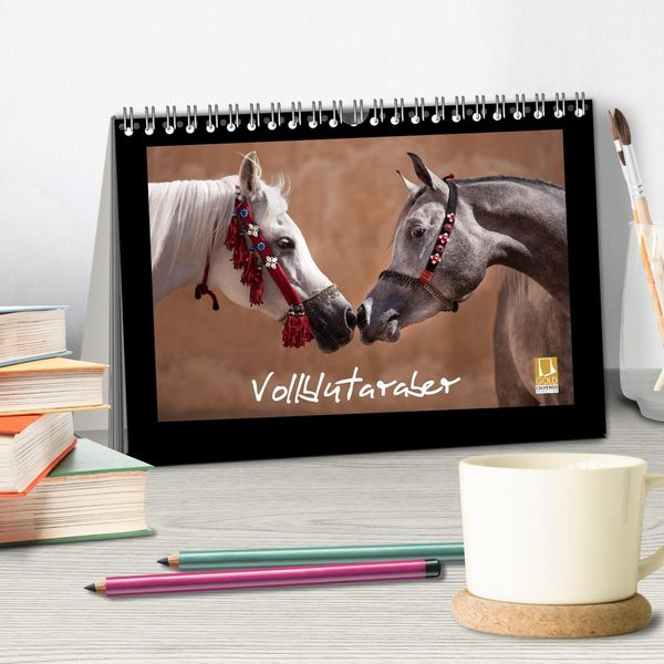 Produktbild: Vollblutaraber (Tischkalender 2026 DIN A5 quer), CALVENDO Monatskalender
