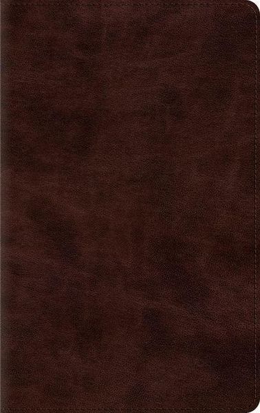 Produktbild: Thinline Bible-ESV
