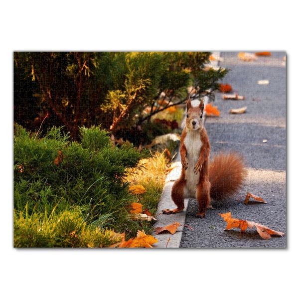 Produktbild: Lais Puzzle Eichh&ouml;rnchen 1000 Teile