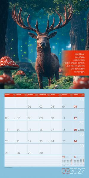 Produktbild: Alles wird gut Kalender 2027 - 30x30 - Art12