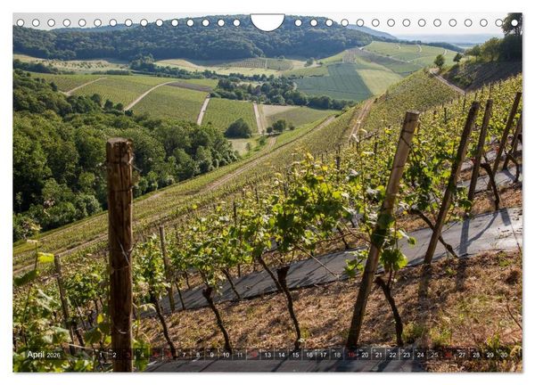 Produktbild: Weinlagen in Franken (Wandkalender 2026 DIN A4 quer), CALVENDO Monatskalender
