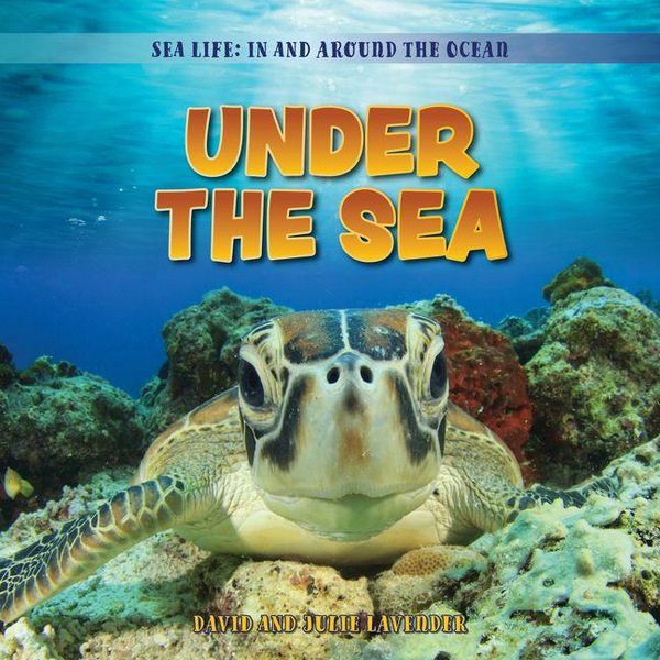 Produktbild: Under the Sea