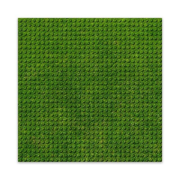 Produktbild: BRIXIES 225000 - Platte 32 x 32 Rasen, Fotorealistische Bauplatte, 1 St&uuml;ck