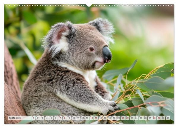 Produktbild: Bedrohte Tierwelt SCHATTEN DES VERSCHWINDENS (Wandkalender 2026 DIN A2 quer), CALVENDO Monatskalender