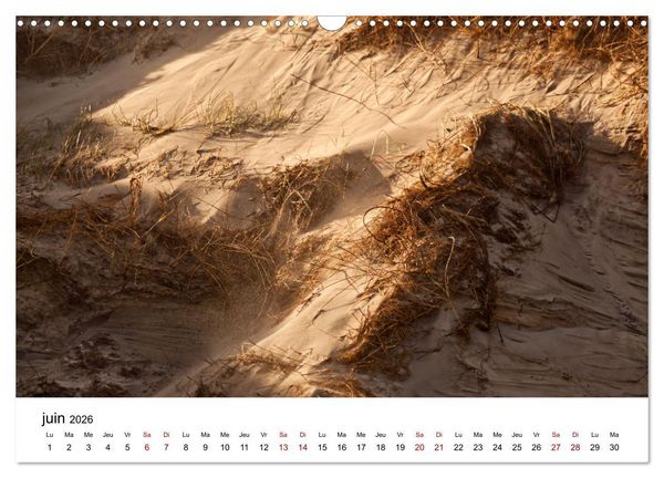 Produktbild: Dunes et mer - Une exp&eacute;rience nature (Calendrier mural 2026 DIN A3 vertical), CALVENDO calendrier mensuel