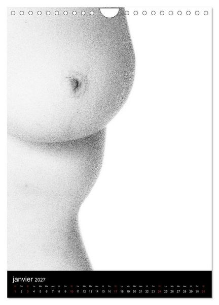 Produktbild: F&eacute;minit&eacute; (Calendrier mural 2027 DIN A4 horizontal), CALVENDO calendrier mensuel