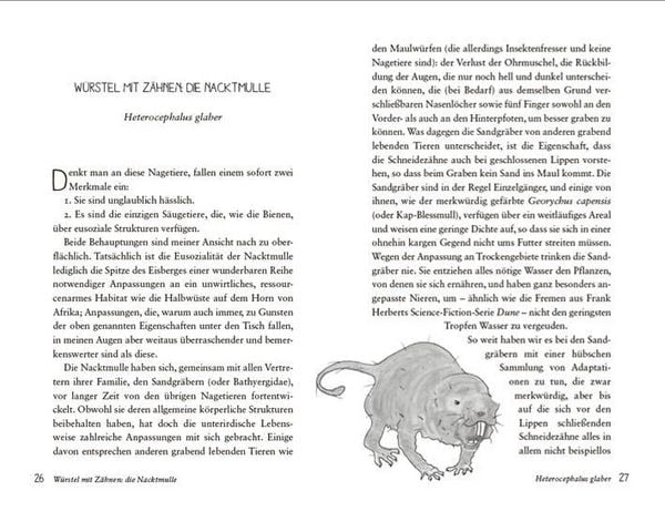 Produktbild: Die seltsamsten Tiere der Welt &ndash; Skurrile Sch&ouml;pfungen der Evolution. Tierportr&auml;ts, die Darwin und Humboldt sicher nicht kannten.