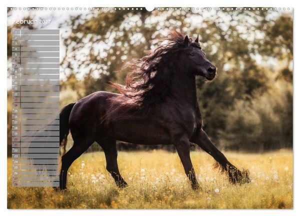Produktbild: Pferde - Spiegel deiner Seele (Wandkalender 2027 DIN A2 quer), CALVENDO Monatskalender