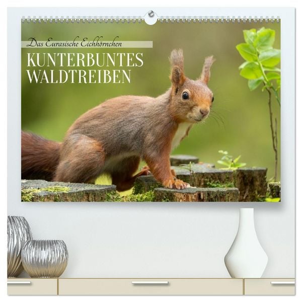 Produktbild: Das Eurasische Eichh&ouml;rnchen - Kunterbuntes Waldtreiben (hochwertiger Premium Wandkalender 2026 DIN A2 quer), Kunstdruck in Hochglanz