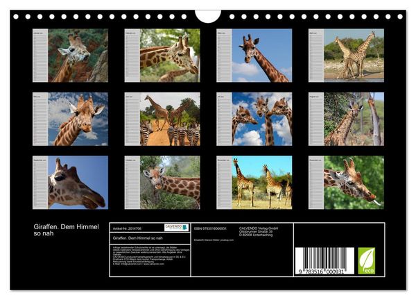 Produktbild: Giraffen. Dem Himmel so nah (Wandkalender 2026 DIN A4 quer), CALVENDO Monatskalender