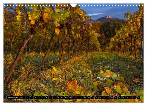 Produktbild: Augenschmaus Pfalz (Wandkalender 2026 DIN A3 quer), CALVENDO Monatskalender