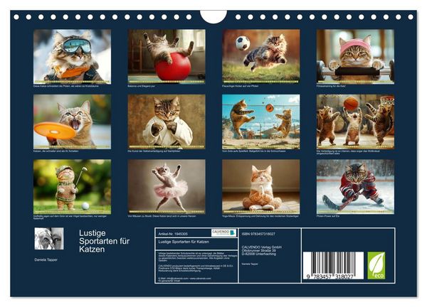 Produktbild: Lustige Sportarten f&uuml;r Katzen (Wandkalender 2026 DIN A4 quer), CALVENDO Monatskalender