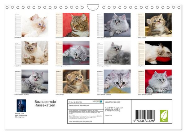 Produktbild: Bezaubernde Rassekatzen (Wandkalender 2026 DIN A4 quer), CALVENDO Monatskalender