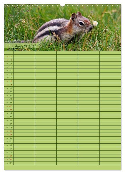 Produktbild: Tierischer Familienplaner (hochwertiger Premium Wandkalender 2026 DIN A2 hoch), Kunstdruck in Hochglanz