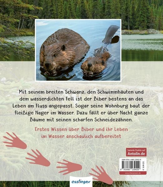 Produktbild: Meine gro&szlig;e Tierbibliothek: Der Biber