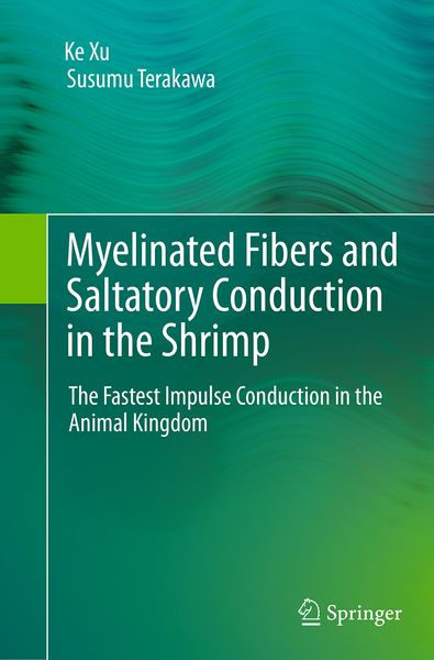 Produktbild: Myelinated Fibers and Saltatory Conduction in the Shrimp