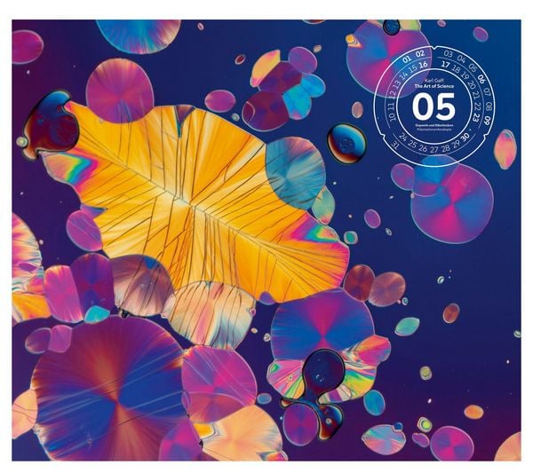 Produktbild: The Art of Science Kalender 2027 | Faszinierend-irisierende Mikroskopkunst