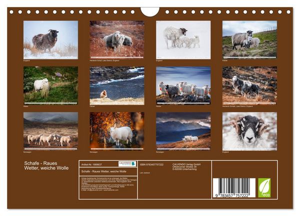 Produktbild: Schafe - Raues Wetter, weiche Wolle (Wandkalender 2026 DIN A4 quer), CALVENDO Monatskalender