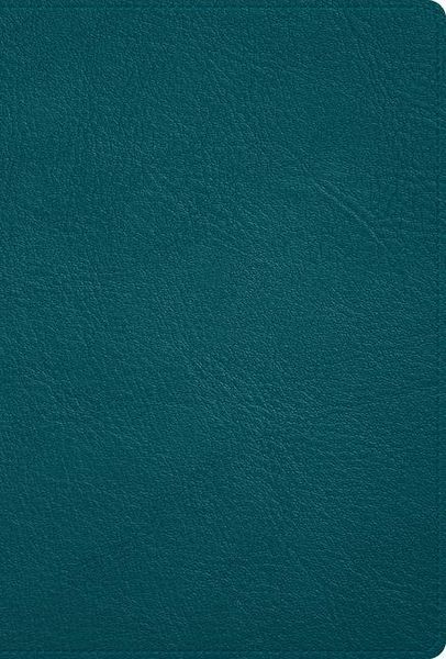 Produktbild: Rvr 1960 Biblia Deluxe, Verde Turquesa Piel Genuina