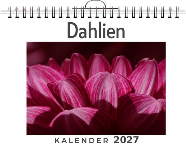 Produktbild: Dahlien