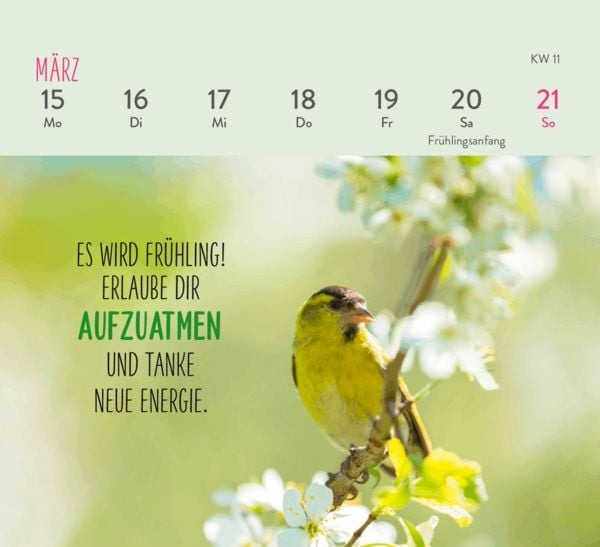 Produktbild: Mini-Wochenkalender 2027: Herzensw&uuml;nsche f&uuml;r dich