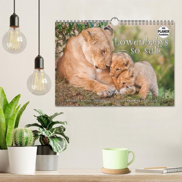 Produktbild: Emotionale Momente: L&ouml;wenbabys - so s&uuml;&szlig;. (Wandkalender 2026 DIN A4 quer), CALVENDO Monatskalender
