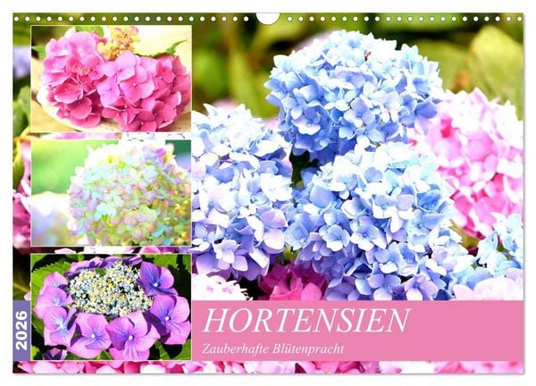 Produktbild: Hortensien. Zauberhafte Bl&uuml;tenpracht (Wandkalender 2026 DIN A3 quer), CALVENDO Monatskalender