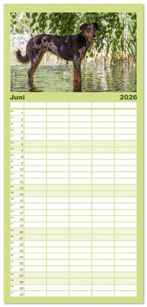 Produktbild: Familienplaner 2026 - Der Beauceron mit 5 Spalten (Wandkalender, 21 x 45 cm) CALVENDO